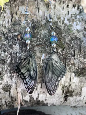 Butterfly Wing Earrings