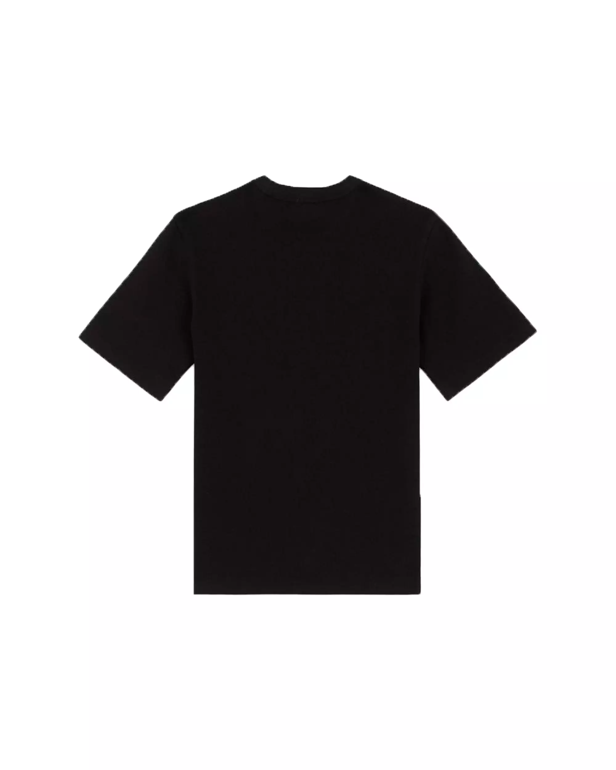 Dickies Marysville tee ss black